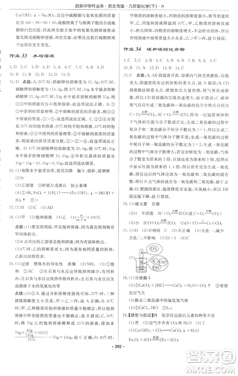 龍門書局2023啟東中學(xué)作業(yè)本九年級下冊化學(xué)人教版蘇北專版參考答案