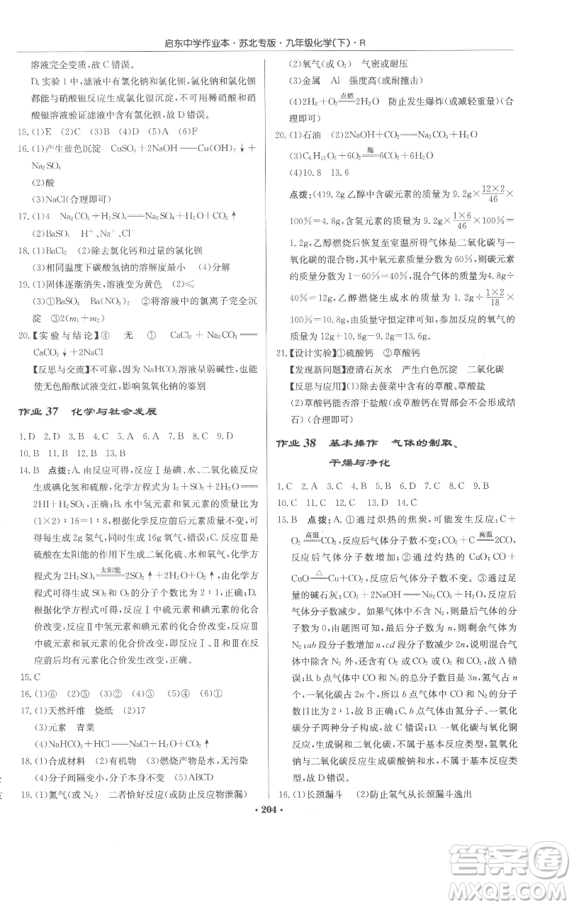 龍門書局2023啟東中學(xué)作業(yè)本九年級下冊化學(xué)人教版蘇北專版參考答案