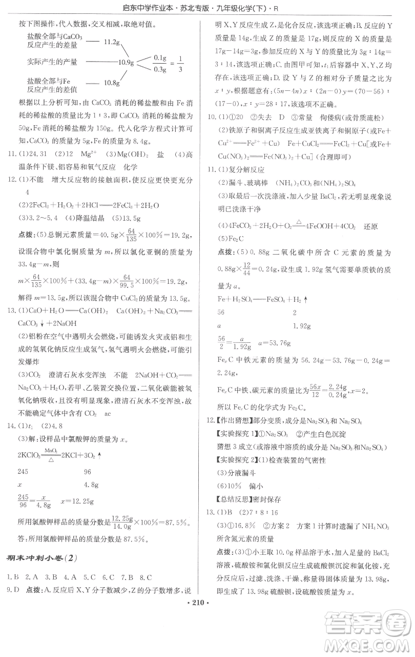 龍門書局2023啟東中學(xué)作業(yè)本九年級下冊化學(xué)人教版蘇北專版參考答案