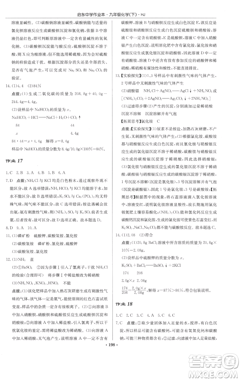 龍門書局2023啟東中學作業(yè)本九年級下冊化學滬教版參考答案