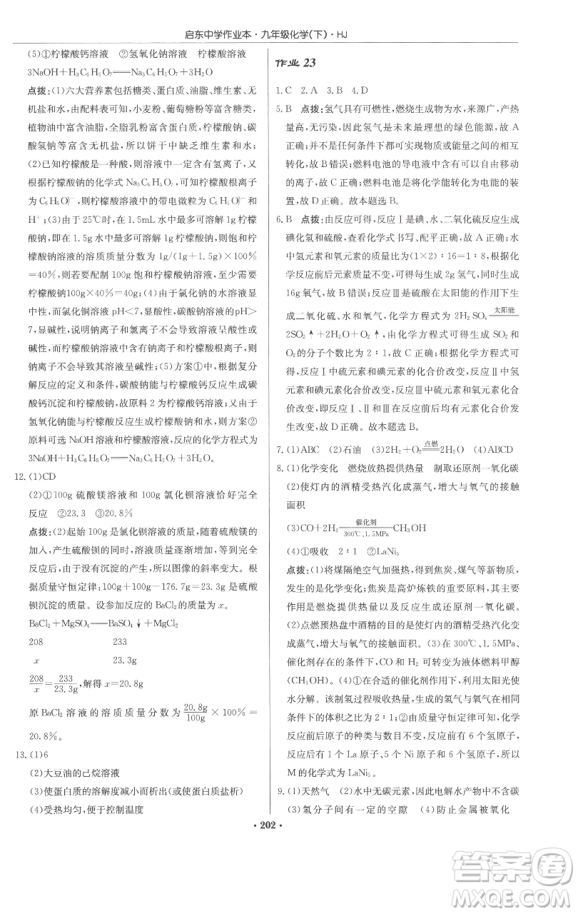 龍門書局2023啟東中學作業(yè)本九年級下冊化學滬教版參考答案