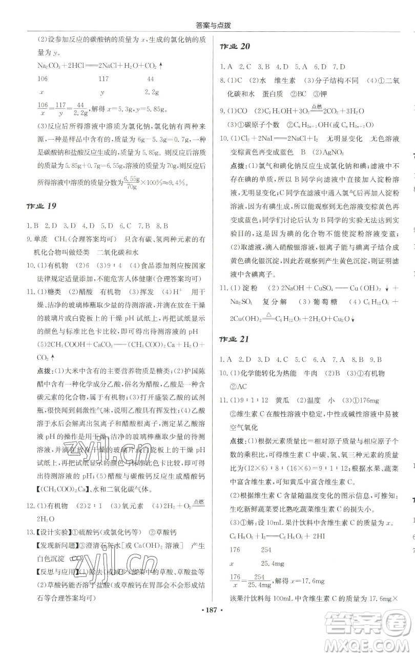 龍門書局2023啟東中學作業(yè)本九年級下冊化學滬教版蘇北專版參考答案