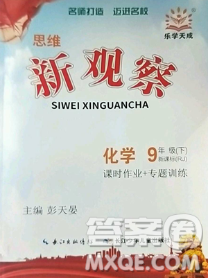 長江少年兒童出版社2023思維新觀察九年級下冊化學(xué)人教版參考答案