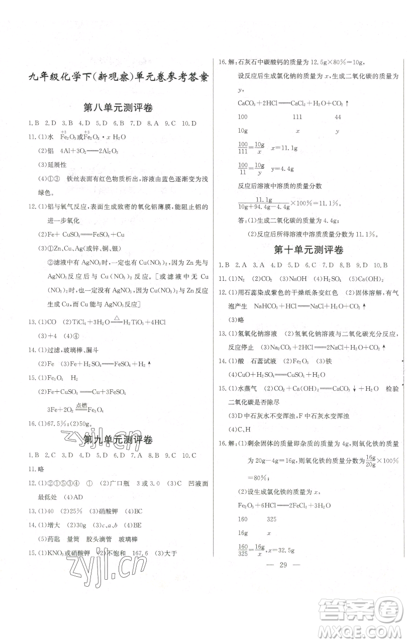 長江少年兒童出版社2023思維新觀察九年級下冊化學(xué)人教版參考答案