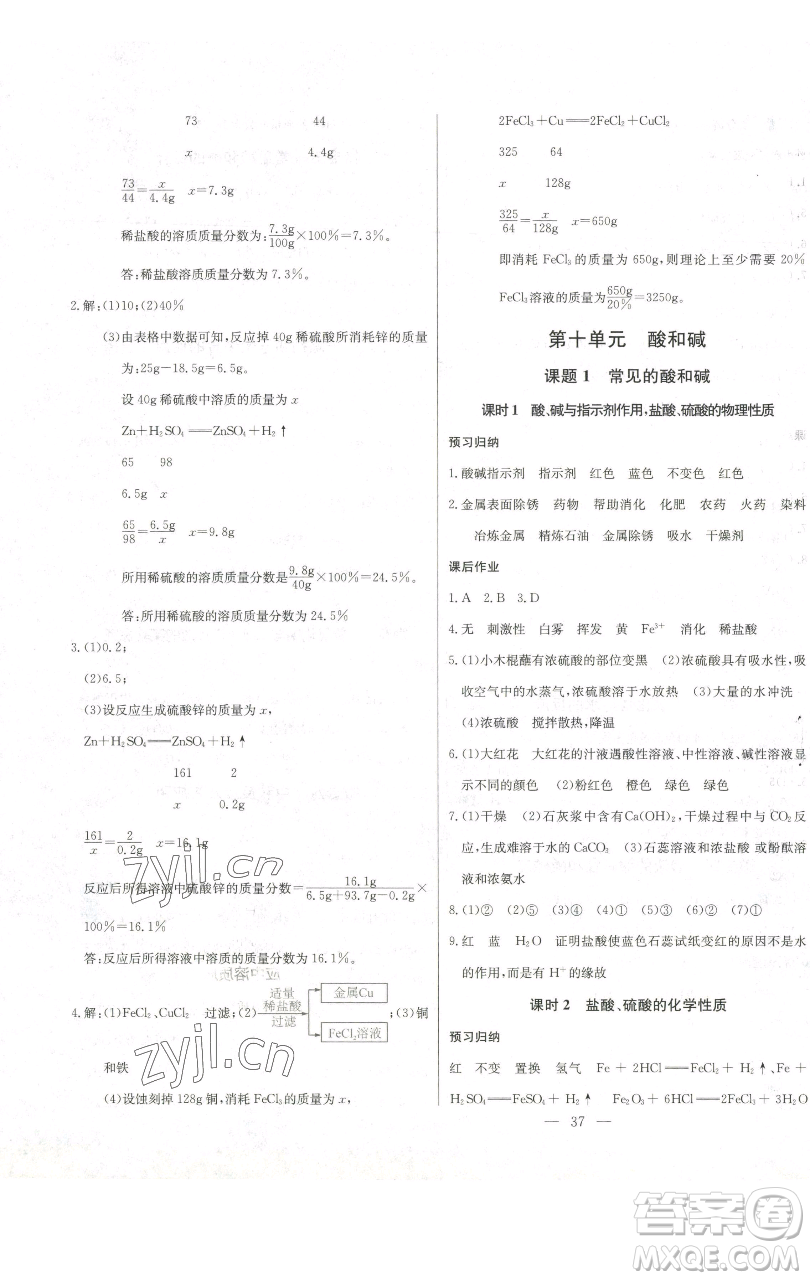 長江少年兒童出版社2023思維新觀察九年級下冊化學(xué)人教版參考答案