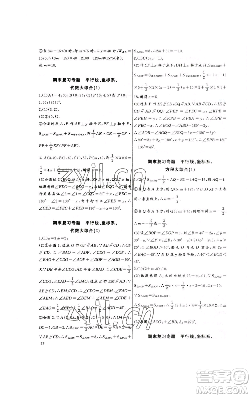 長江少年兒童出版社2023思維新觀察培優(yōu)講練七年級下冊數(shù)學(xué)人教版參考答案