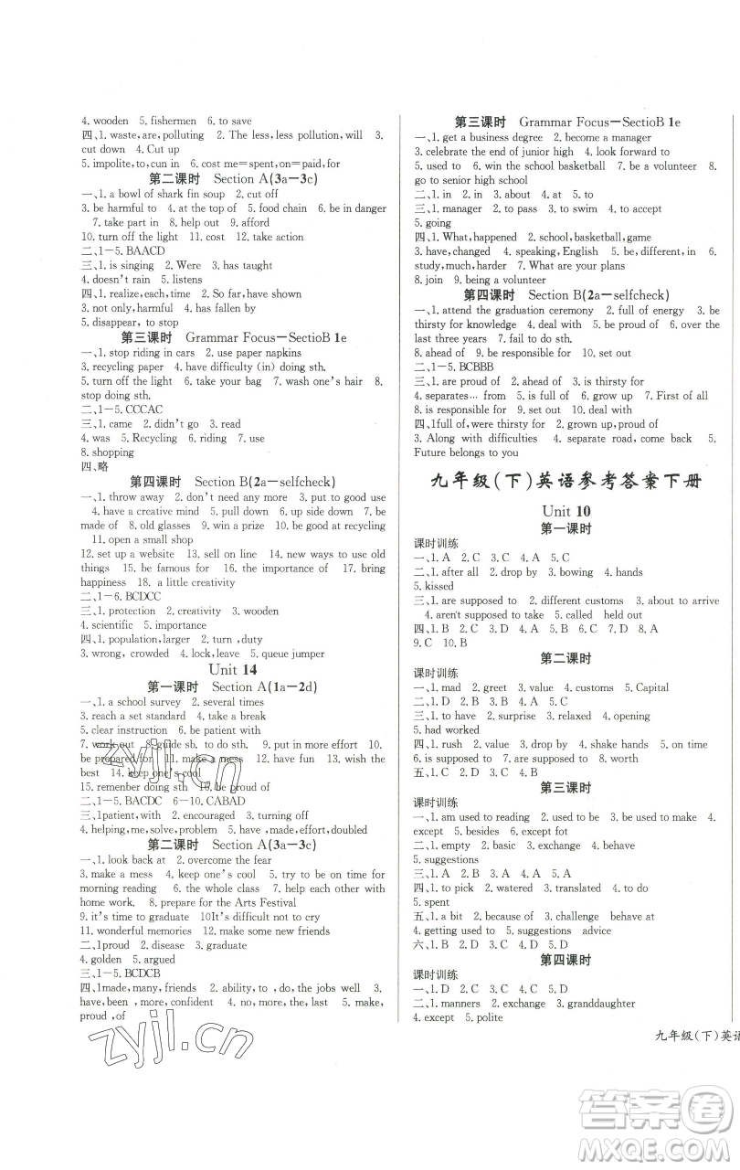 長江少年兒童出版社2023思維新觀察九年級下冊英語人教版參考答案