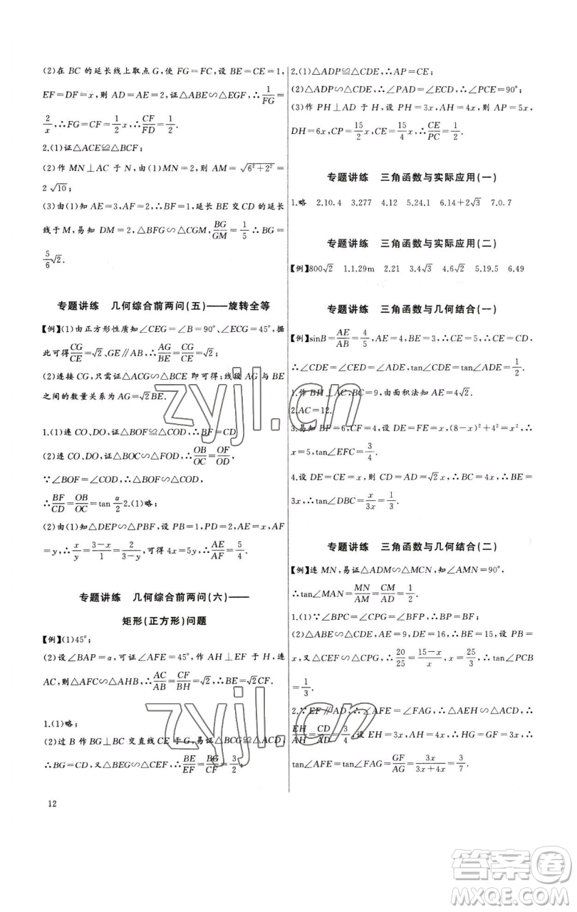 長江少年兒童出版社2023思維新觀察中考數學專題復習參考答案