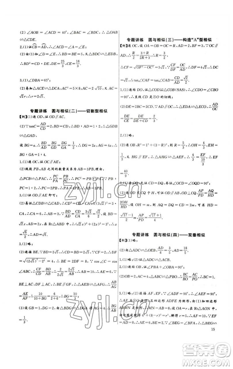 長江少年兒童出版社2023思維新觀察中考數學專題復習參考答案