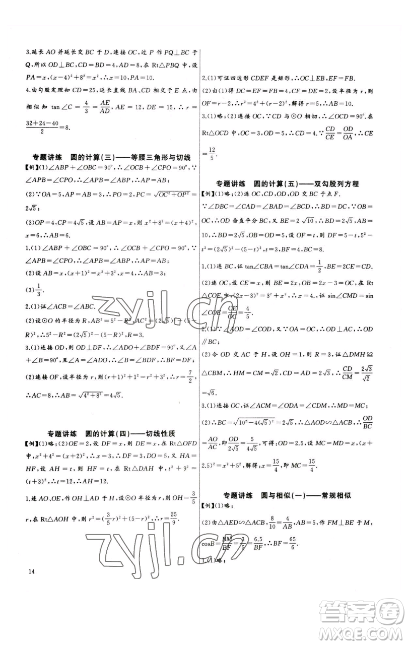 長江少年兒童出版社2023思維新觀察中考數學專題復習參考答案