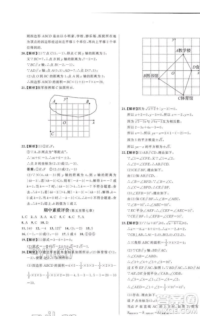 延邊大學(xué)出版社2023世紀(jì)金榜百練百勝七年級下冊數(shù)學(xué)人教版參考答案