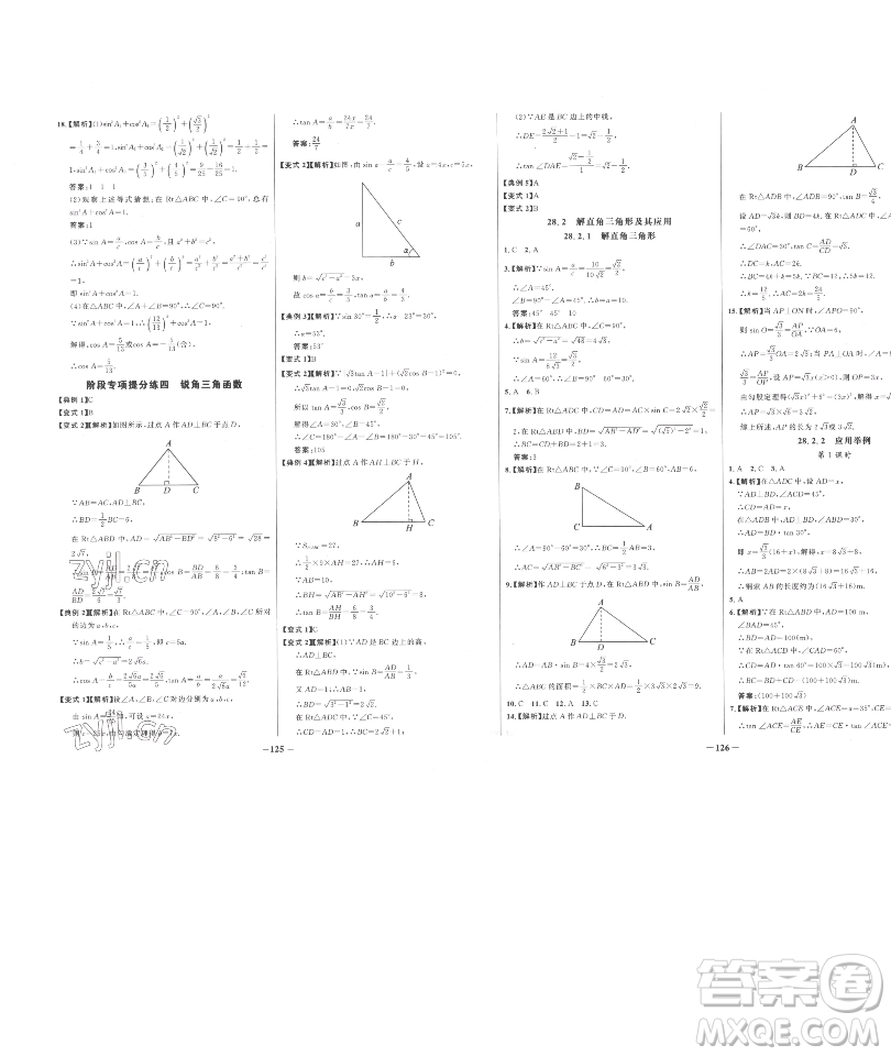 延邊大學(xué)出版社2023世紀(jì)金榜百練百勝九年級(jí)下冊(cè)數(shù)學(xué)人教版參考答案