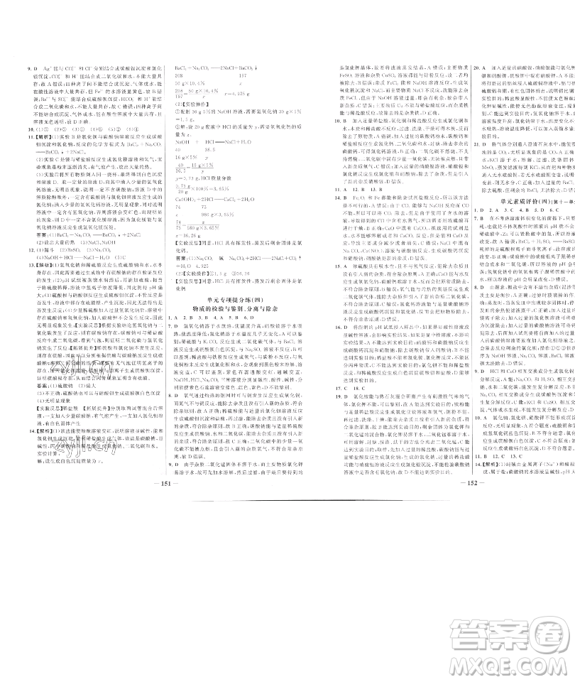 延邊大學(xué)出版社2023世紀(jì)金榜百練百勝九年級下冊化學(xué)人教版參考答案