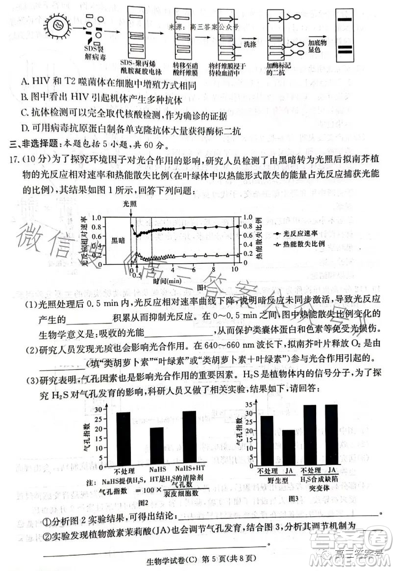 2023屆湖南新高考教學教研聯(lián)盟高三第一次聯(lián)考生物學試卷答案