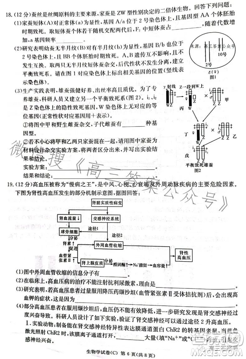 2023屆湖南新高考教學教研聯(lián)盟高三第一次聯(lián)考生物學試卷答案