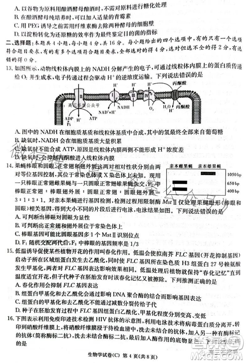 2023屆湖南新高考教學教研聯(lián)盟高三第一次聯(lián)考生物學試卷答案