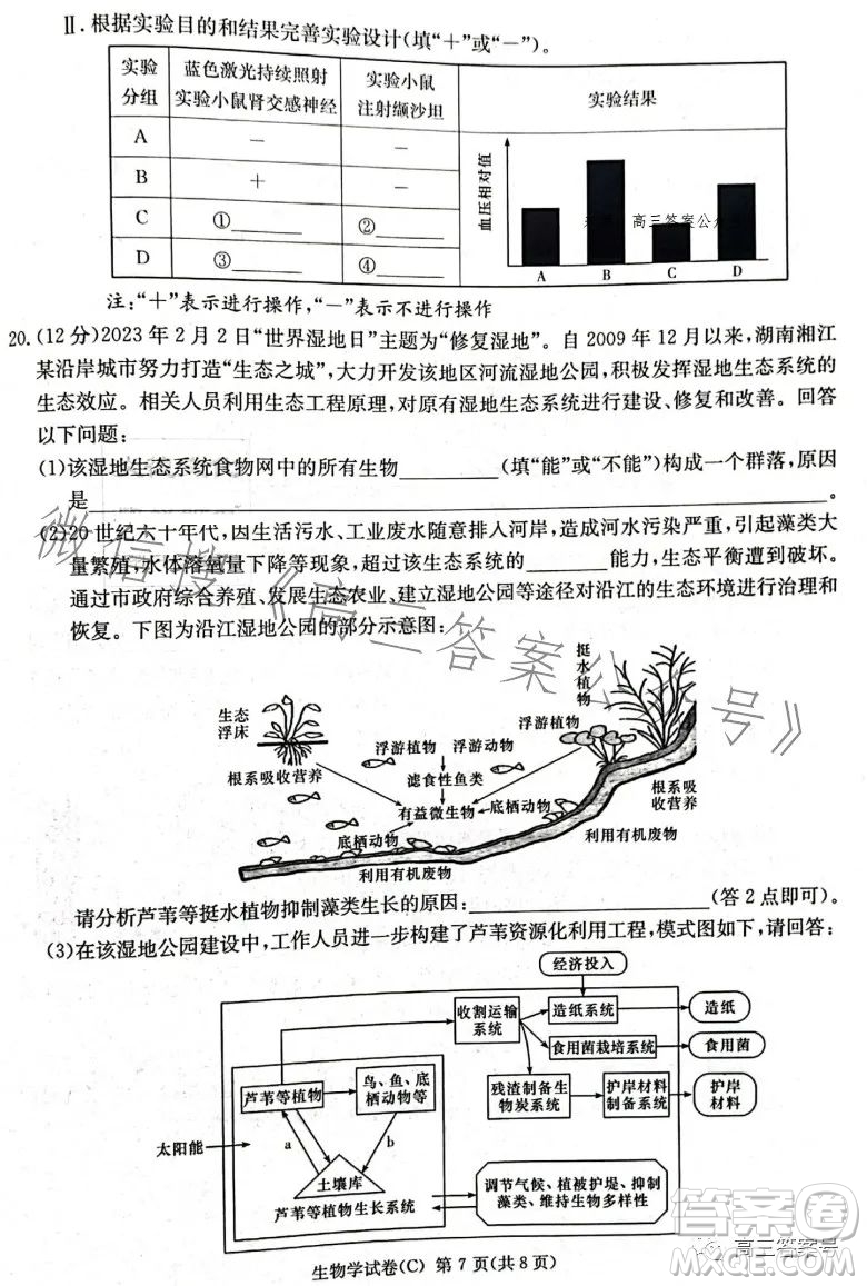 2023屆湖南新高考教學教研聯(lián)盟高三第一次聯(lián)考生物學試卷答案