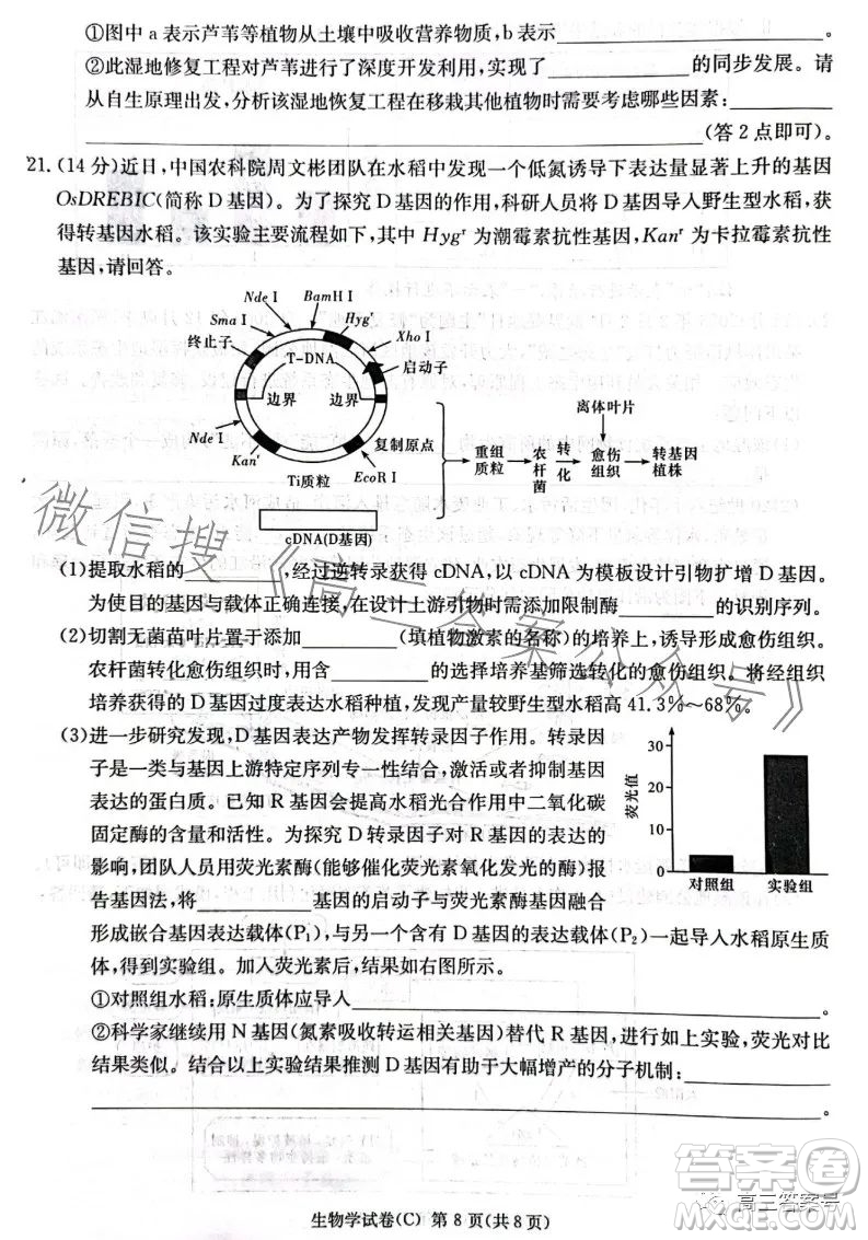 2023屆湖南新高考教學教研聯(lián)盟高三第一次聯(lián)考生物學試卷答案