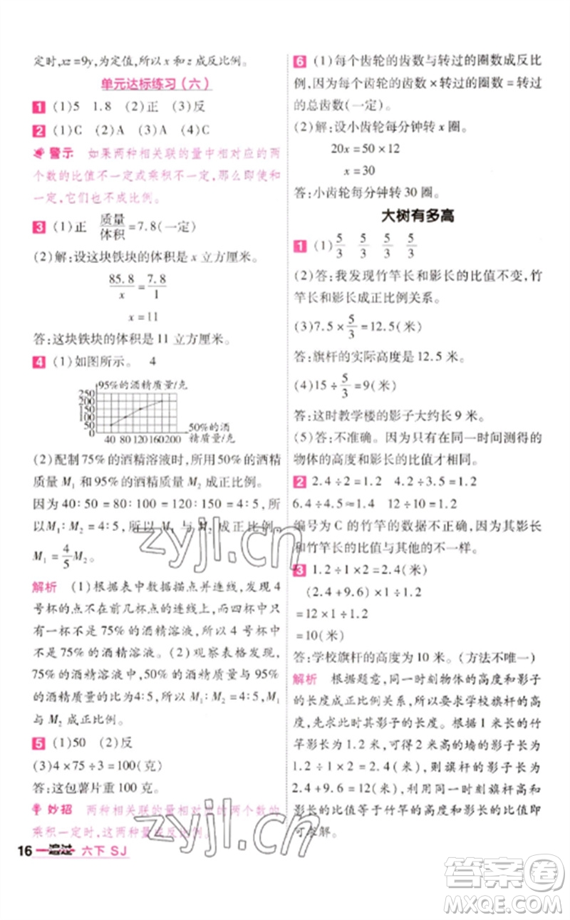 南京師范大學(xué)出版社2023一遍過六年級(jí)數(shù)學(xué)下冊(cè)蘇教版參考答案