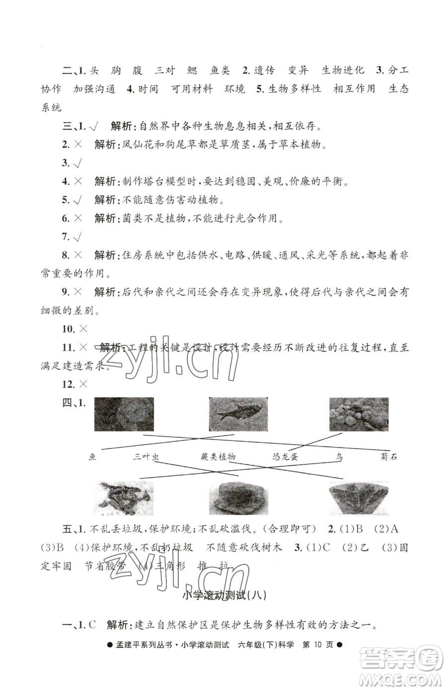 浙江工商大學(xué)出版社2023孟建平小學(xué)滾動(dòng)測(cè)試六年級(jí)下冊(cè)科學(xué)教科版參考答案