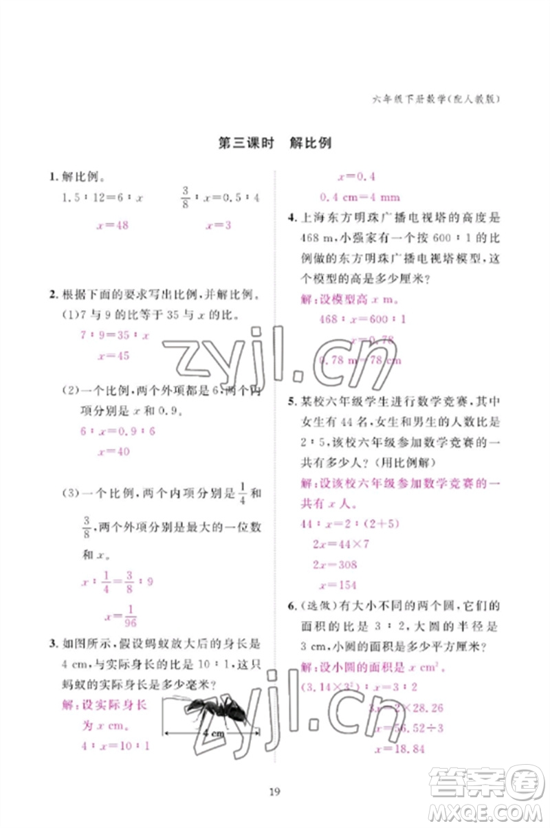 江西教育出版社2023年芝麻開花課堂作業(yè)本六年級數(shù)學(xué)下冊人教版參考答案