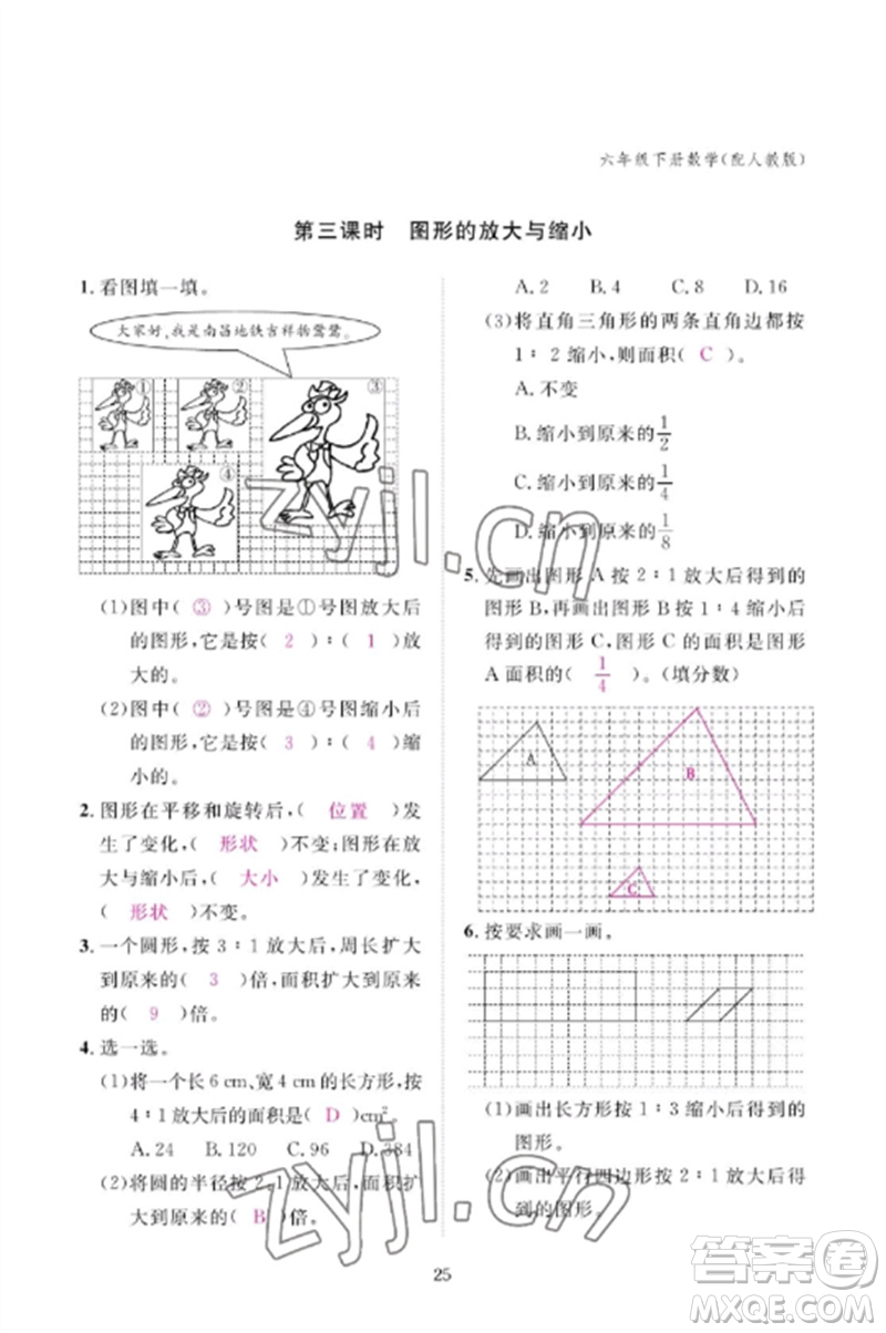 江西教育出版社2023年芝麻開花課堂作業(yè)本六年級數(shù)學(xué)下冊人教版參考答案