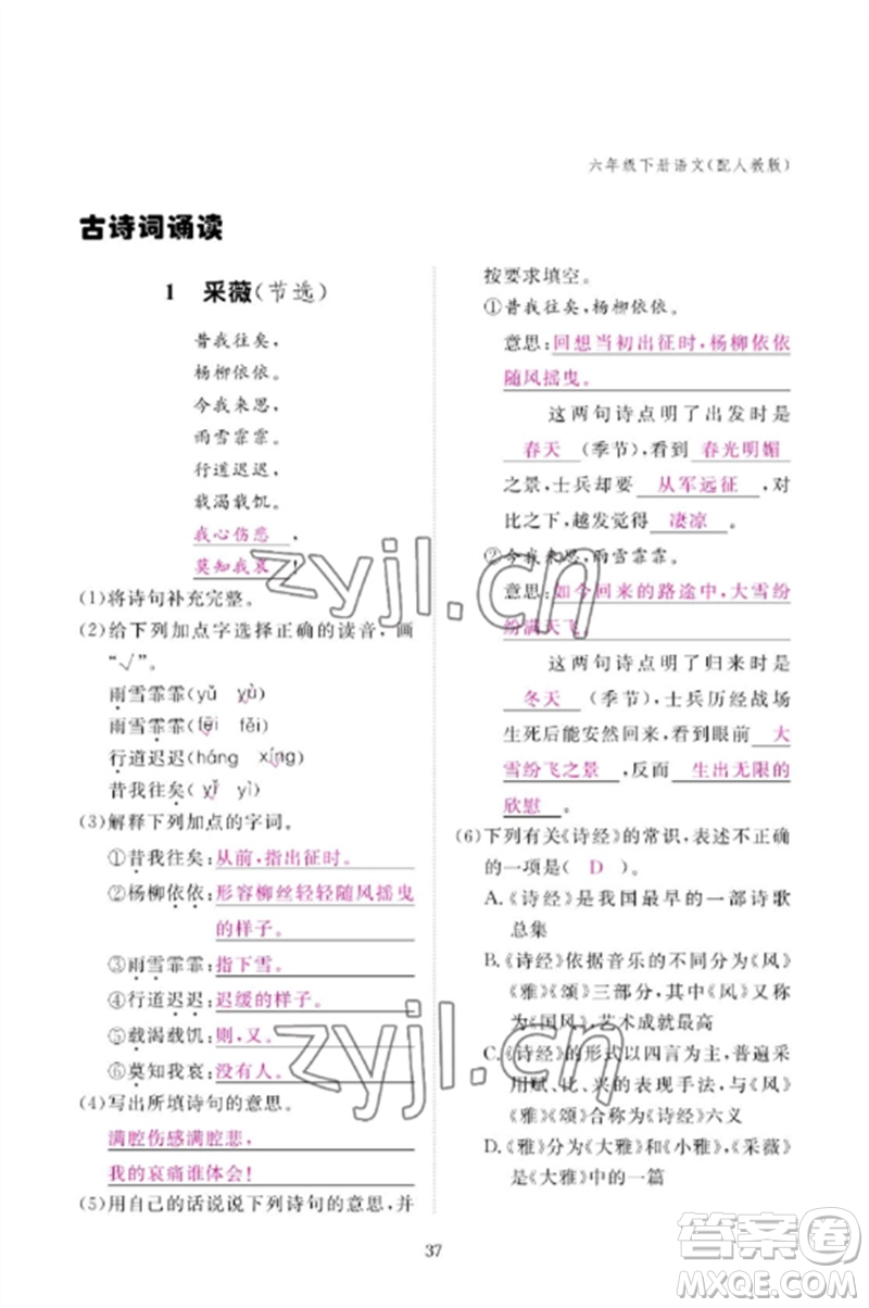 江西教育出版社2023年芝麻開(kāi)花課堂作業(yè)本六年級(jí)語(yǔ)文下冊(cè)人教版參考答案