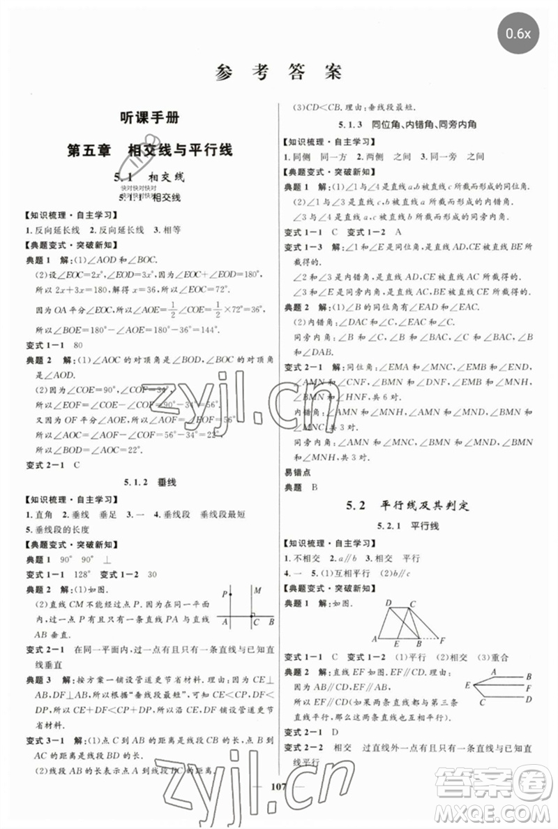 河北少年兒童出版社2023奪冠百分百新導(dǎo)學(xué)課時(shí)練七年級(jí)數(shù)學(xué)下冊(cè)人教版參考答案