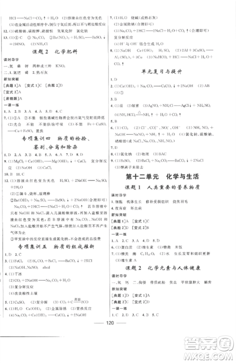 河北少年兒童出版社2023奪冠百分百新導學課時練九年級化學下冊人教版參考答案