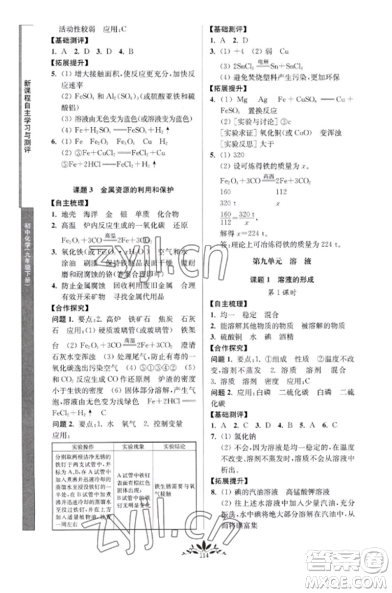 南京師范大學(xué)出版社2023新課程自主學(xué)習(xí)與測(cè)評(píng)九年級(jí)化學(xué)下冊(cè)人教版參考答案