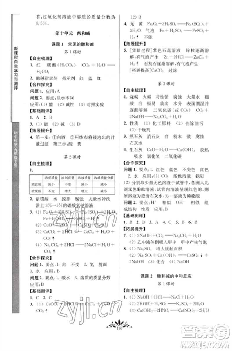 南京師范大學(xué)出版社2023新課程自主學(xué)習(xí)與測(cè)評(píng)九年級(jí)化學(xué)下冊(cè)人教版參考答案