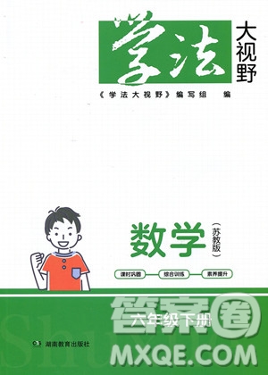 湖南教育出版社2023學(xué)法大視野六年級下冊數(shù)學(xué)蘇教版參考答案