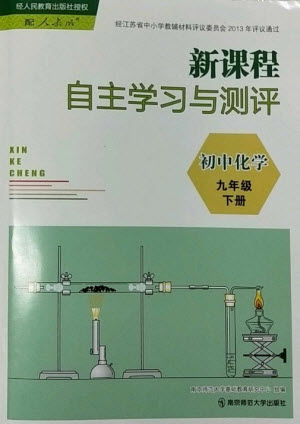 南京師范大學(xué)出版社2023新課程自主學(xué)習(xí)與測(cè)評(píng)九年級(jí)化學(xué)下冊(cè)人教版參考答案