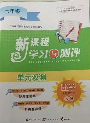 廣西師范大學出版社2023新課程學習與測評單元雙測七年級數(shù)學下冊人教版A版參考答案