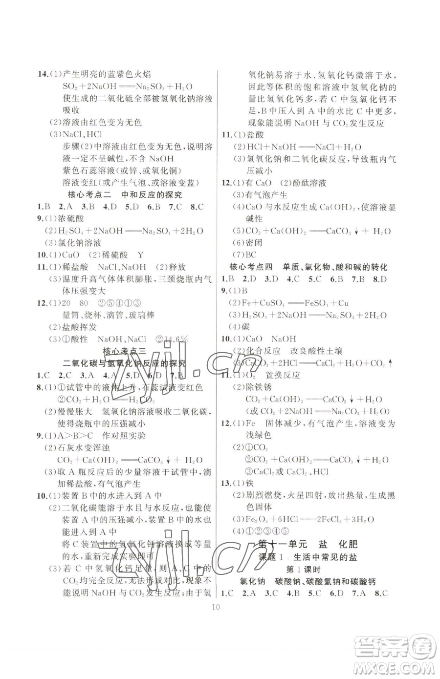 延邊大學(xué)出版社2023高手點題九年級下冊化學(xué)人教版參考答案