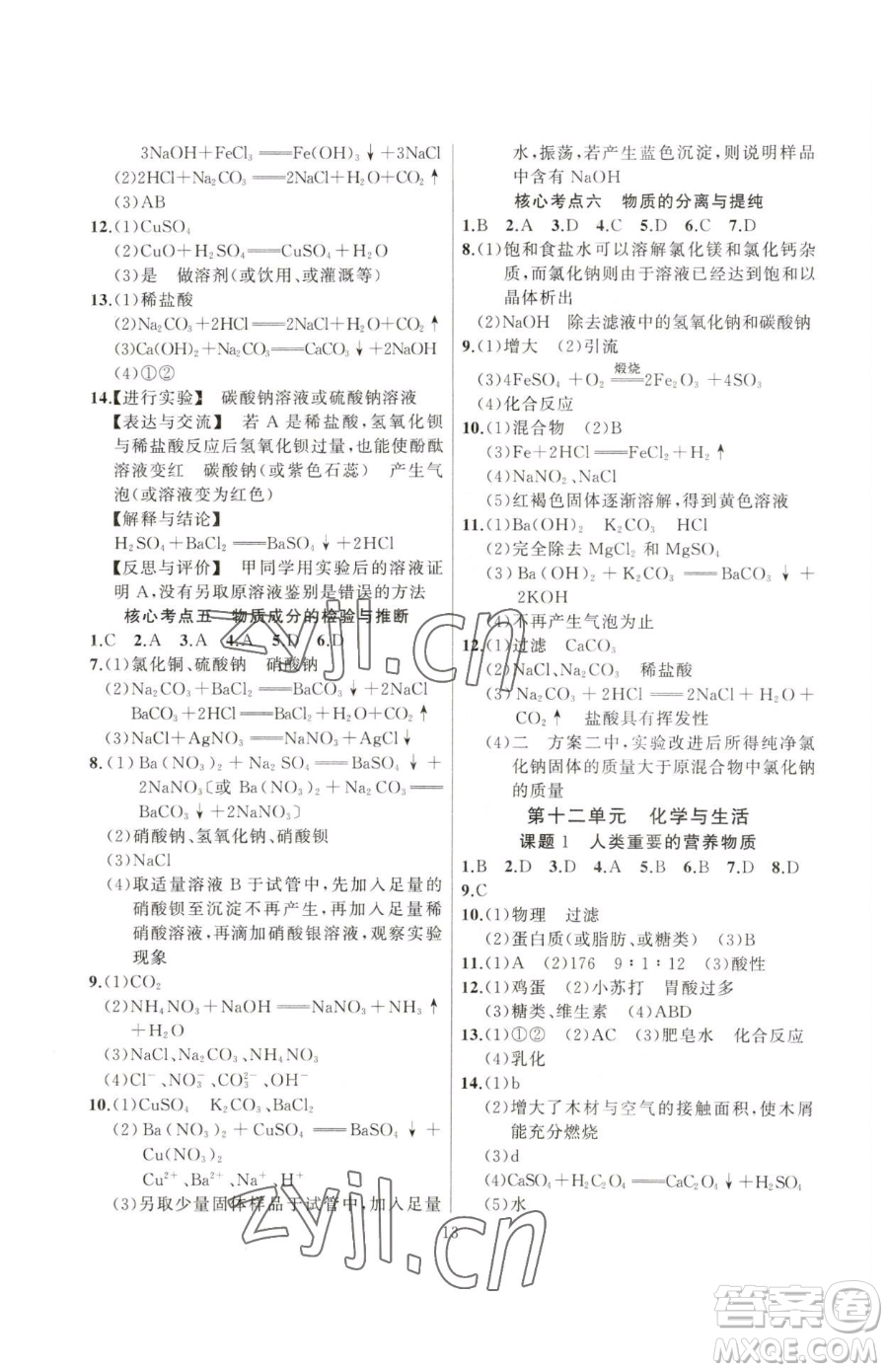 延邊大學(xué)出版社2023高手點題九年級下冊化學(xué)人教版參考答案