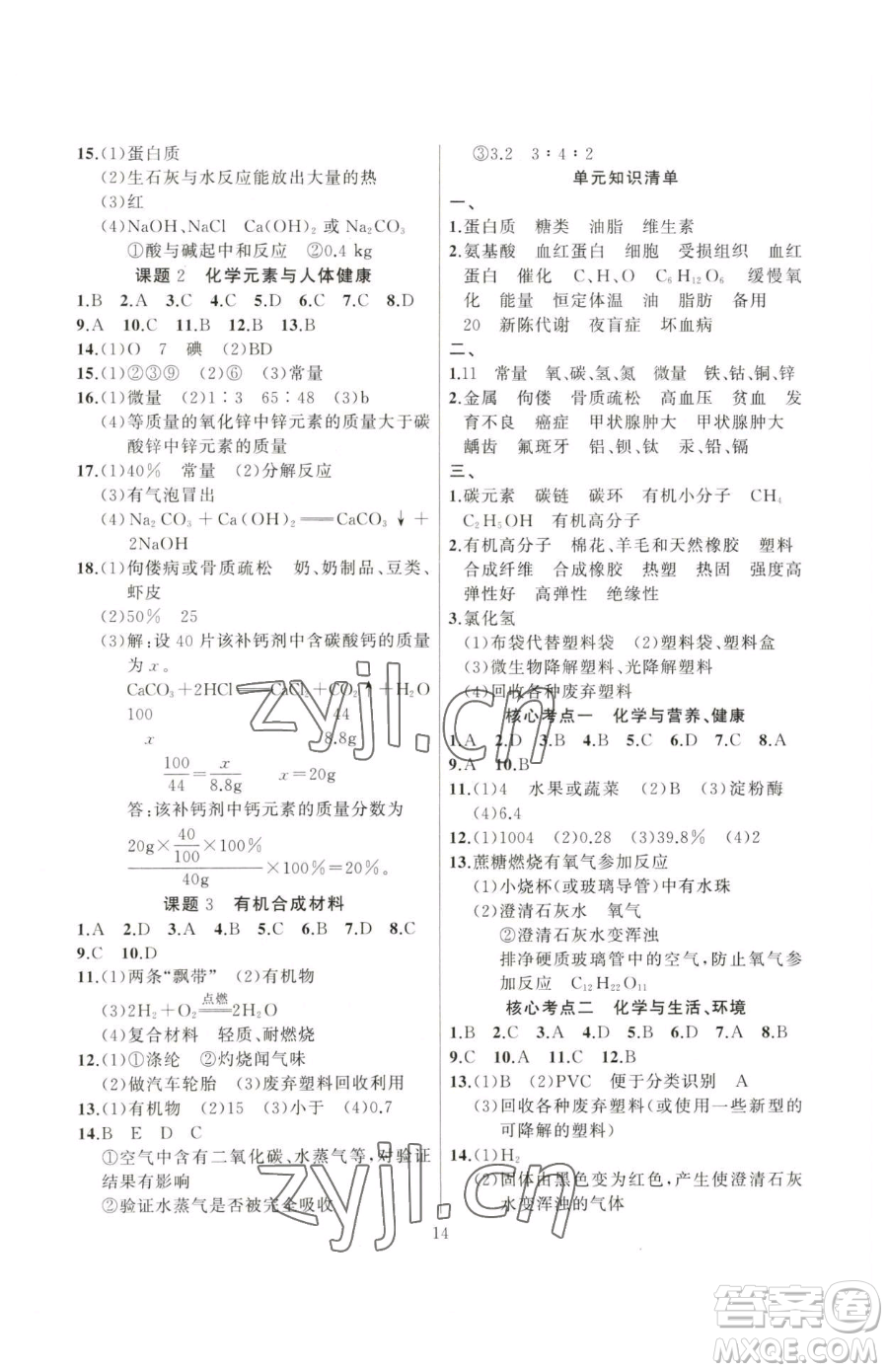 延邊大學(xué)出版社2023高手點題九年級下冊化學(xué)人教版參考答案