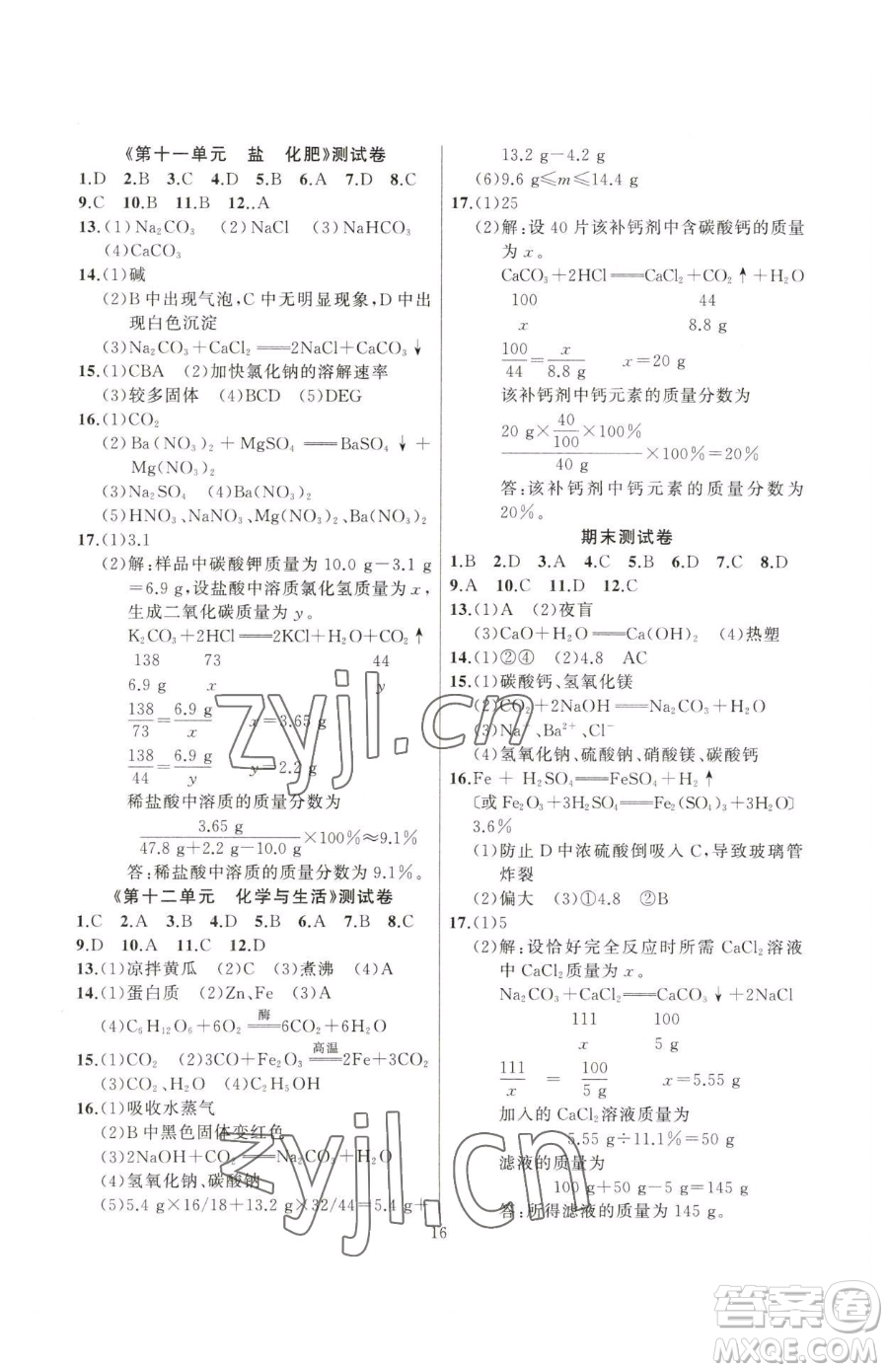 延邊大學(xué)出版社2023高手點題九年級下冊化學(xué)人教版參考答案