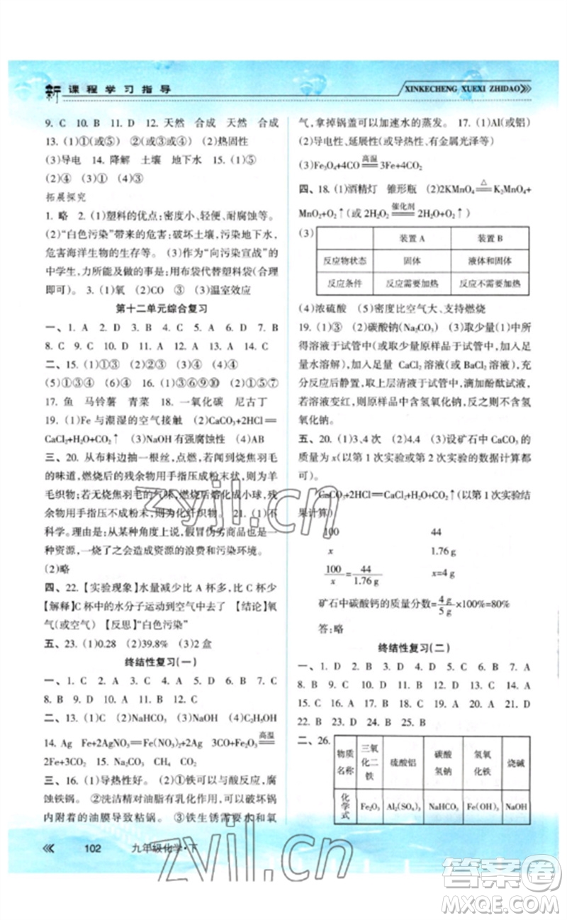 南方出版社2023新課程學(xué)習(xí)指導(dǎo)九年級化學(xué)下冊人教版參考答案