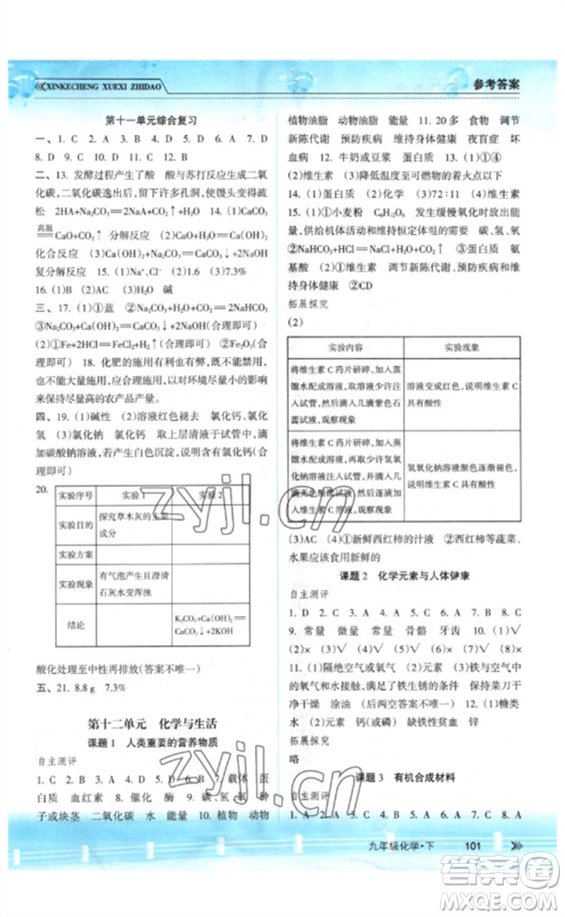 南方出版社2023新課程學(xué)習(xí)指導(dǎo)九年級化學(xué)下冊人教版參考答案