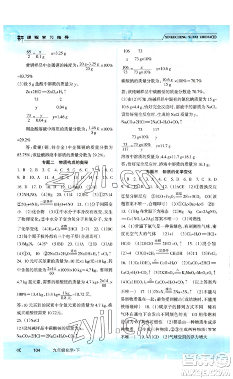 南方出版社2023新課程學(xué)習(xí)指導(dǎo)九年級化學(xué)下冊人教版參考答案