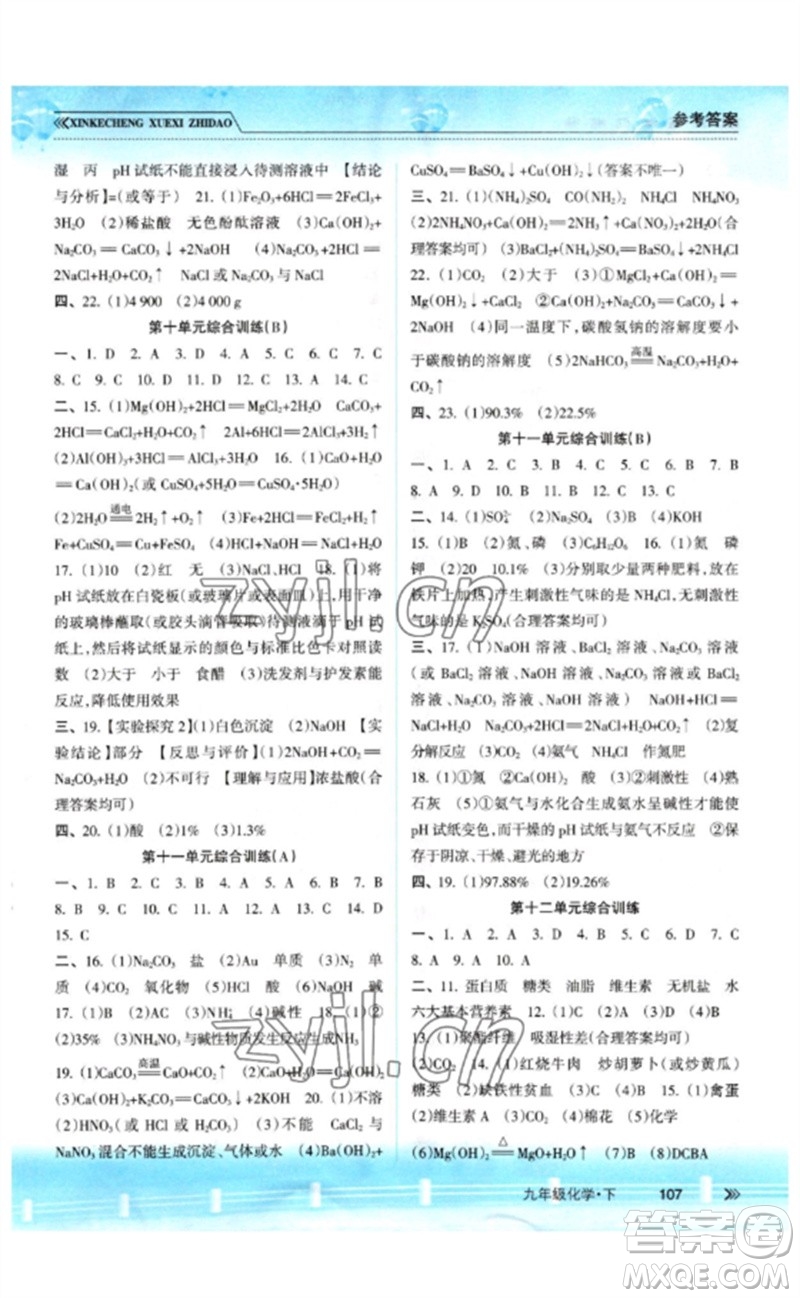 南方出版社2023新課程學(xué)習(xí)指導(dǎo)九年級化學(xué)下冊人教版參考答案