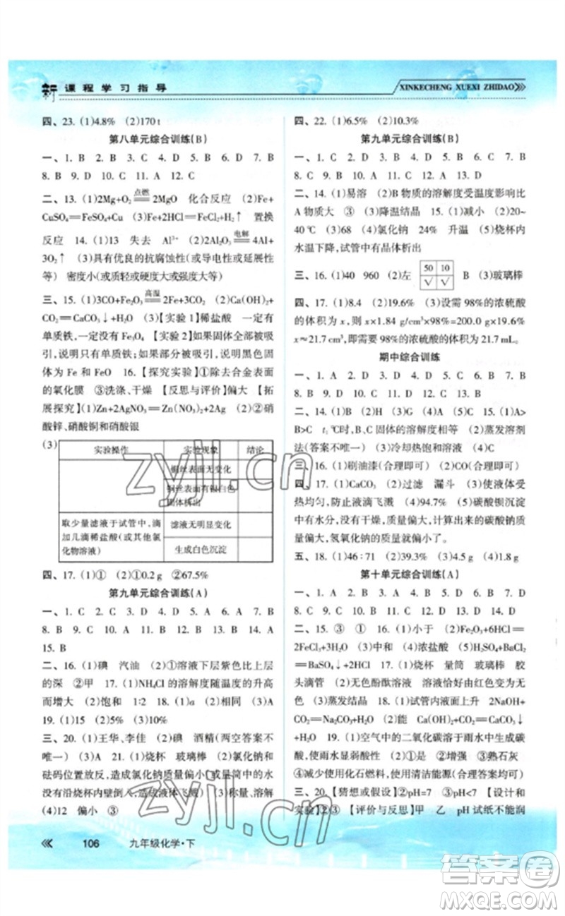 南方出版社2023新課程學(xué)習(xí)指導(dǎo)九年級化學(xué)下冊人教版參考答案