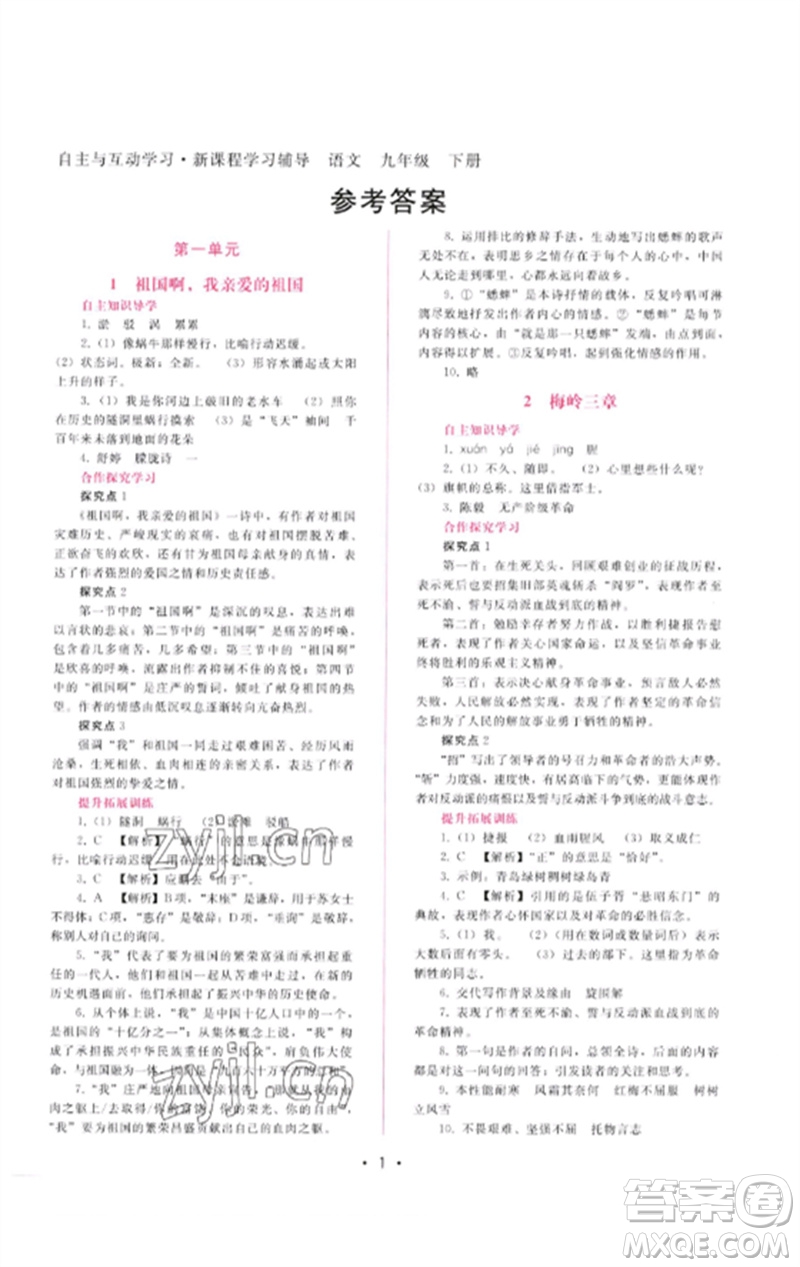 廣西師范大學(xué)出版社2023新課程學(xué)習(xí)輔導(dǎo)九年級語文下冊人教版參考答案