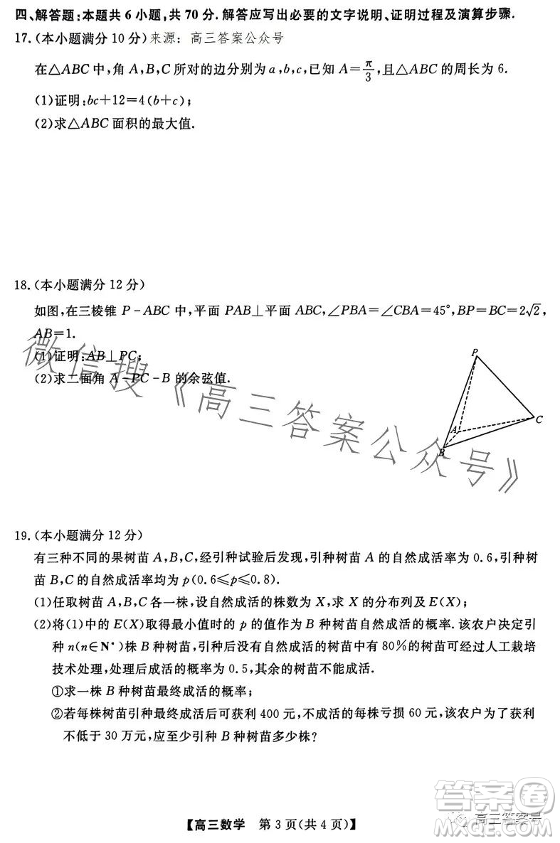 2023金科大聯(lián)考高三3月質(zhì)量檢測(cè)數(shù)學(xué)試卷答案