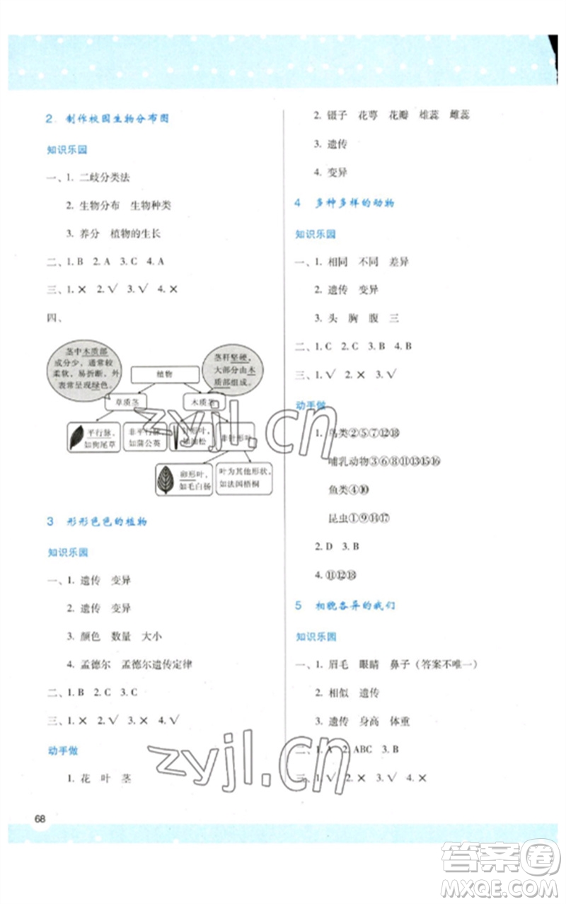 陜西人民教育出版社2023新課程學習與評價六年級科學下冊科教版參考答案