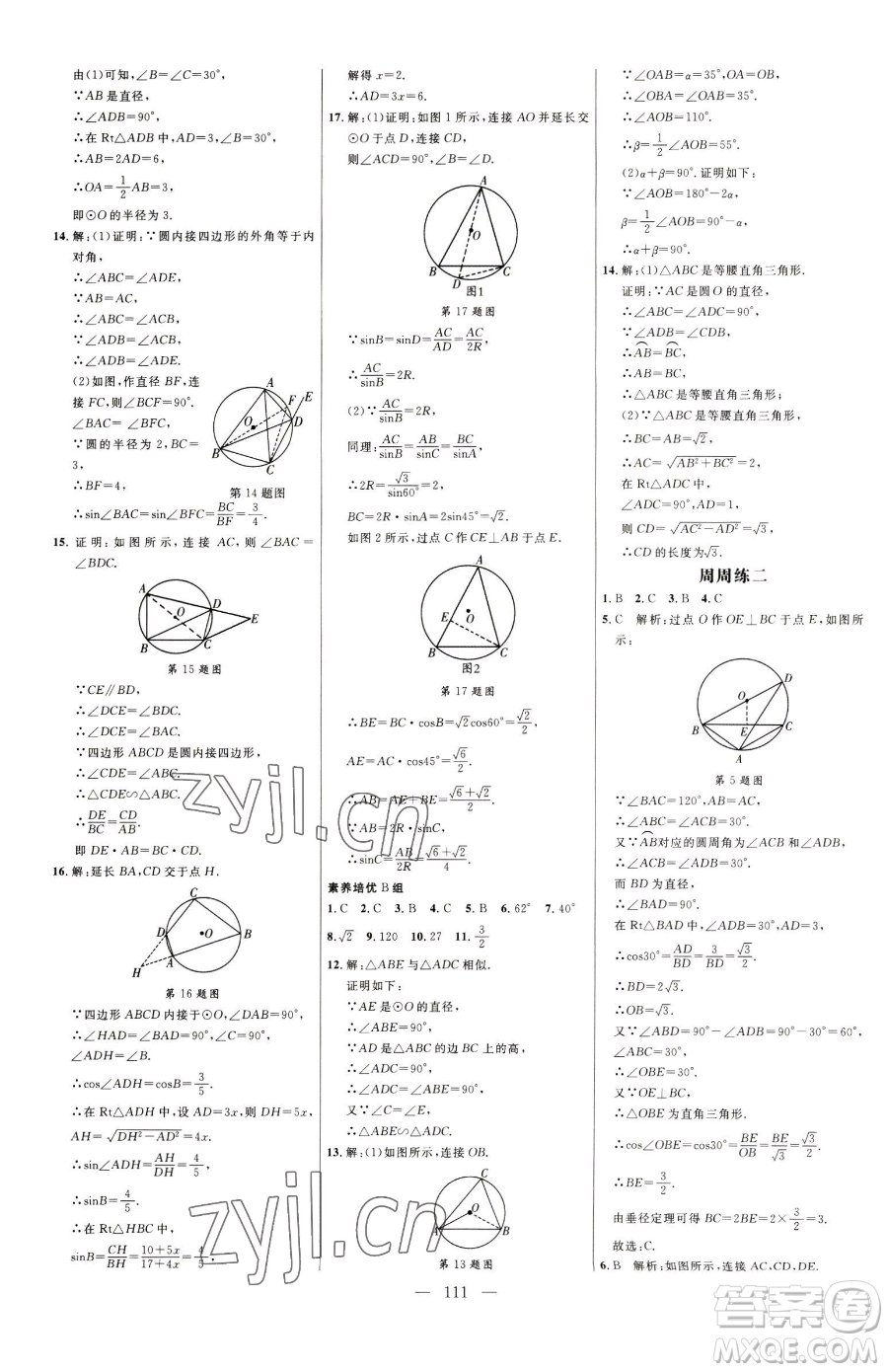 延邊大學(xué)出版社2023細(xì)解巧練九年級下冊數(shù)學(xué)魯教版五四制參考答案