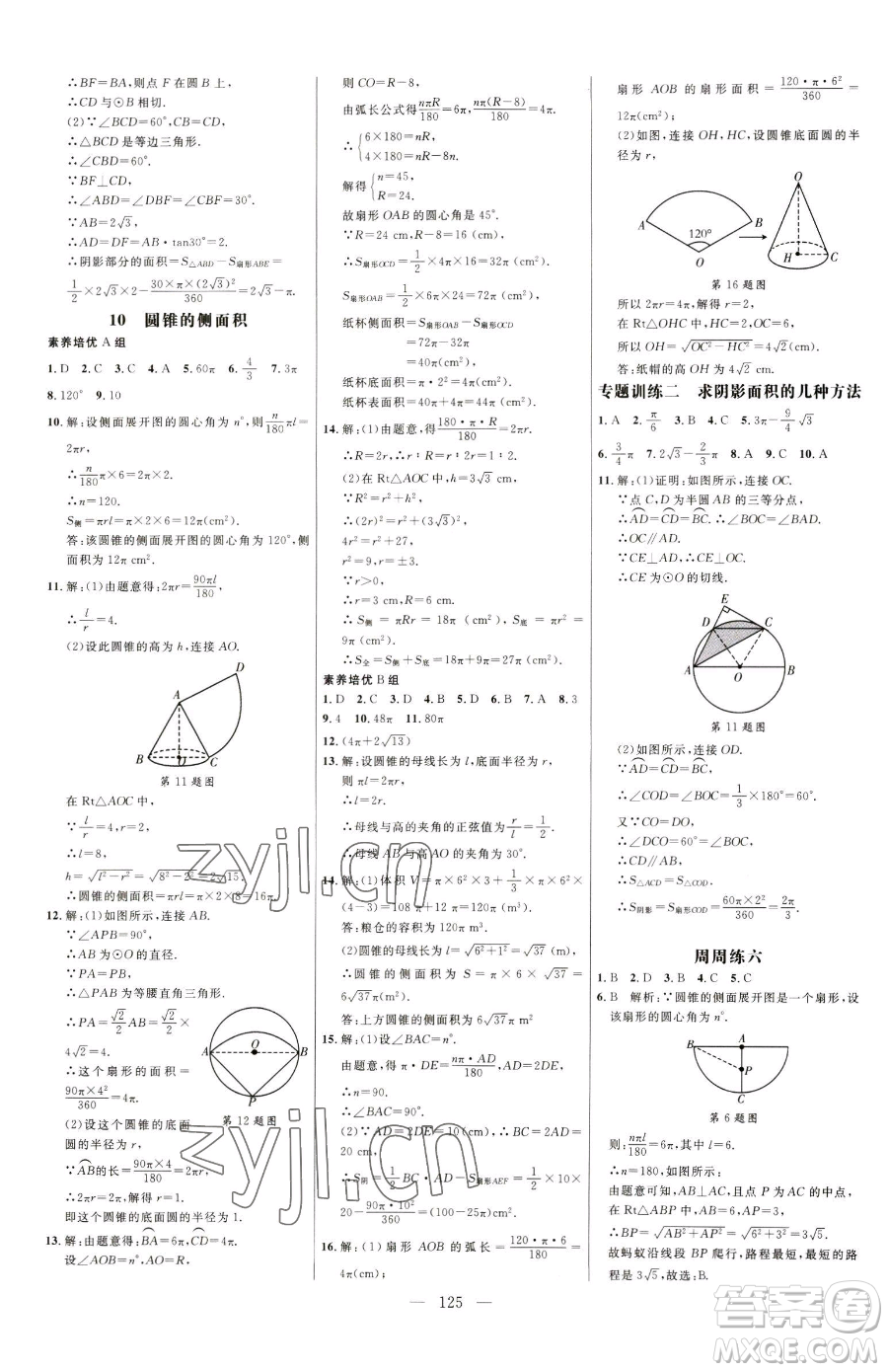 延邊大學(xué)出版社2023細(xì)解巧練九年級下冊數(shù)學(xué)魯教版五四制參考答案