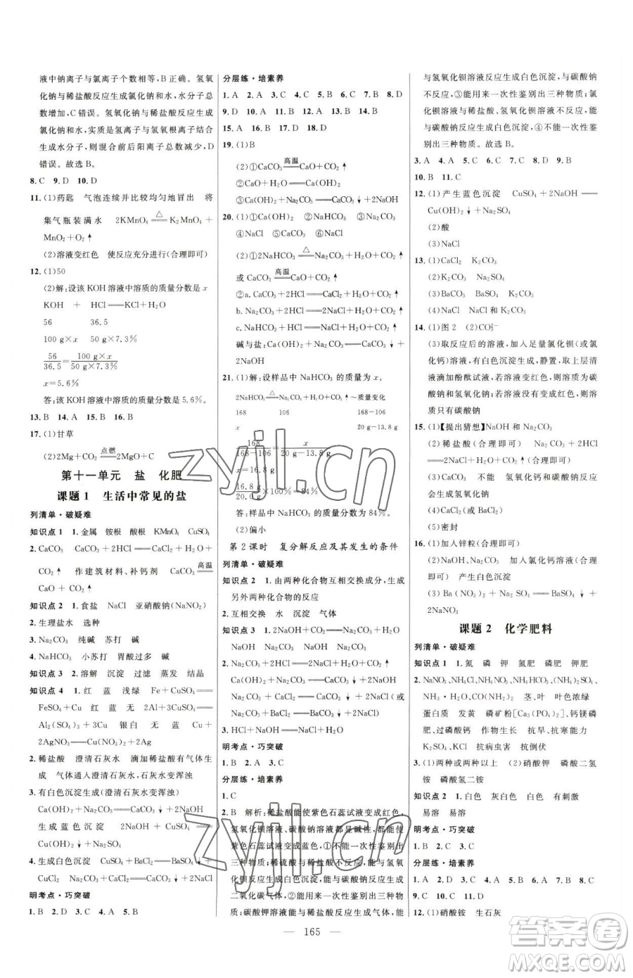 延邊大學出版社2023細解巧練九年級下冊化學人教版參考答案