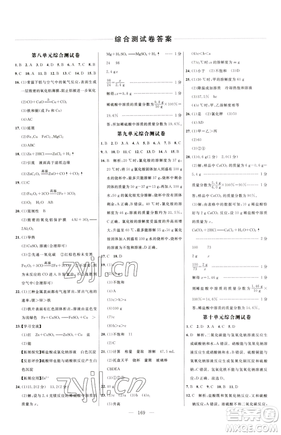 延邊大學出版社2023細解巧練九年級下冊化學人教版參考答案